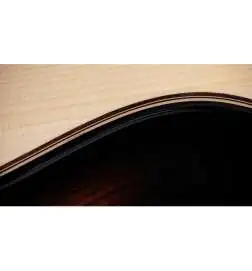 Taylor Builder's Edition 814ce Next Generation