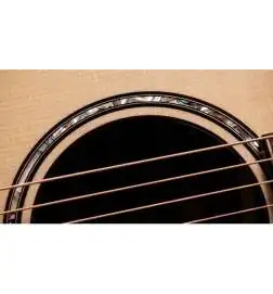Taylor Builder's Edition 814ce Next Generation