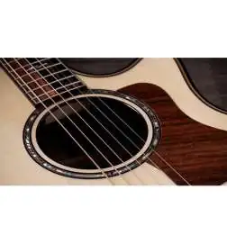 Taylor Builder s Edition 814ce Natural Next Generation