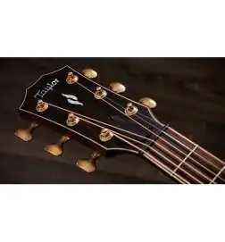 Taylor Builder s Edition 814ce Natural Next Generation