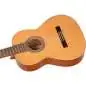 Ortega R18S-L Lefthand