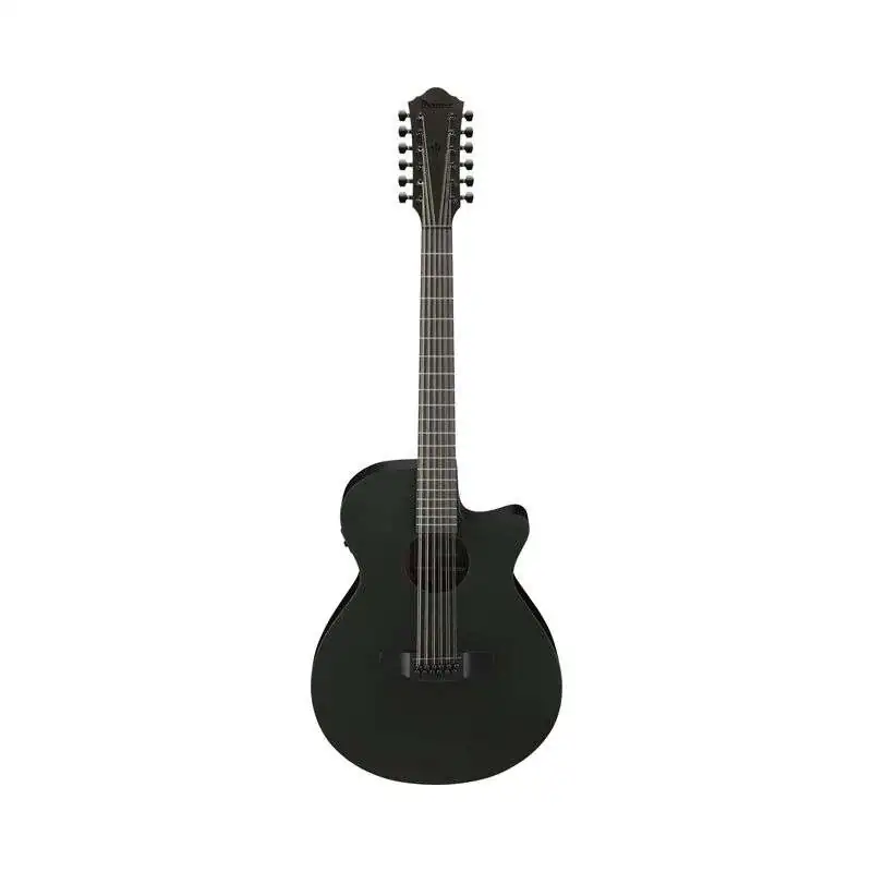 Ibanez AEG1221-BOT 12-String