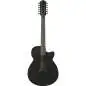 Ibanez AEG1221-BOT 12-String
