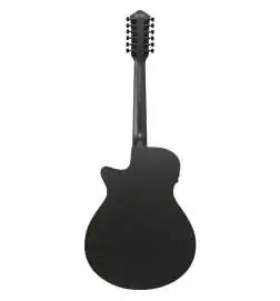 Ibanez AEG1221-BOT 12-String