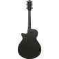 Ibanez AEG1221-BOT 12-String