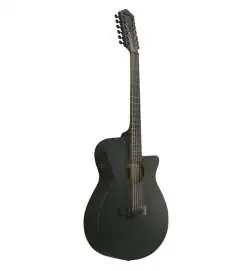Ibanez AEG1221-BOT 12-String