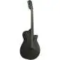 Ibanez AEG1221-BOT 12-String