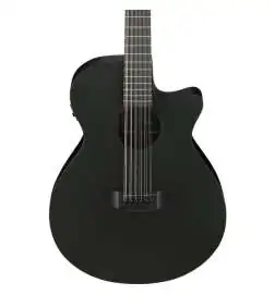 Ibanez AEG1221-BOT 12-String
