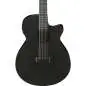 Ibanez AEG1221-BOT 12-String