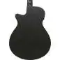 Ibanez AEG1221-BOT 12-String