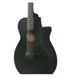 Ibanez AEG1221-BOT 12-String