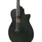 Ibanez AEG1221-BOT 12-String