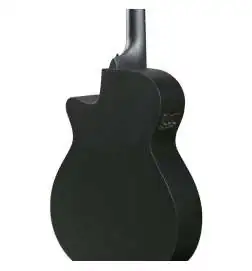 Ibanez AEG1221-BOT 12-String