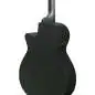 Ibanez AEG1221-BOT 12-String