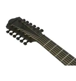 Ibanez AEG1221-BOT 12-String