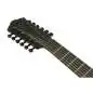 Ibanez AEG1221-BOT 12-String