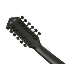 Ibanez AEG1221-BOT 12-String
