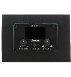 Ibanez AEG1221-BOT 12-String