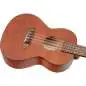 Ortega RU4MM-TE-8 8-String