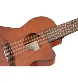 Ortega RU4MM-CE-TE-8