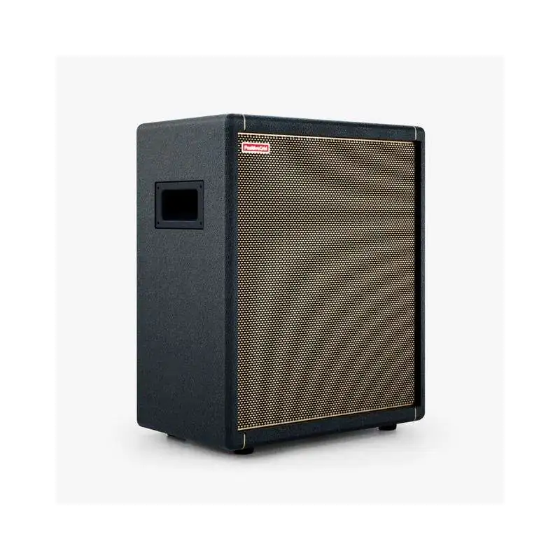 Positive Grid Spark CAB