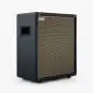 Positive Grid Spark CAB