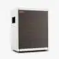 Positive Grid Spark CAB Pearl