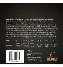 Ortega ATG44NM Classic Strings