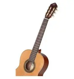 Ortega R18G
