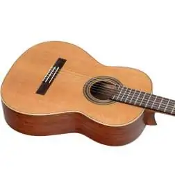 Ortega R18G