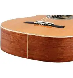 Ortega R18G