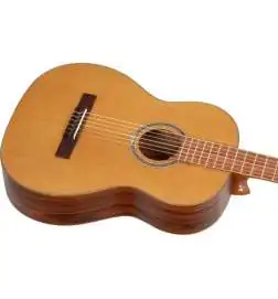 Ortega R24RO