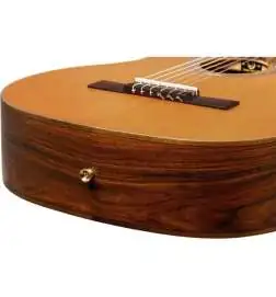 Ortega R24RO