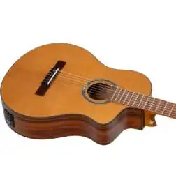 Ortega RCE24RO