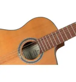 Ortega RCE24RO