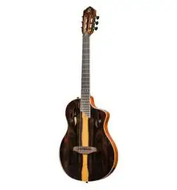 Ortega RTP-LTD