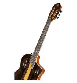 Ortega RTP-LTD