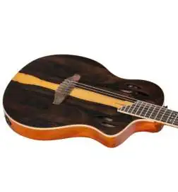 Ortega RTP-LTD
