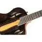 Ortega RTP-LTD