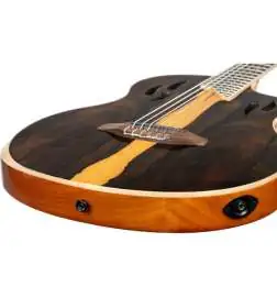 Ortega RTP-LTD