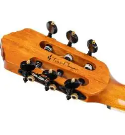 Ortega RTP-LTD