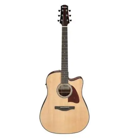 Ibanez AAD51CE-NT Natural