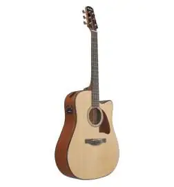 Ibanez AAD51CE-NT Natural