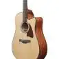 Ibanez AAD51CE-NT Natural Ibanez AAD51CE-NT Natural
