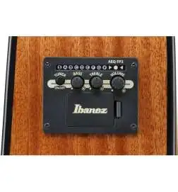 Ibanez AAD51CE-NT Natural
