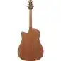 Ibanez AAD51CE-DVS Dark Violin Sunburst
