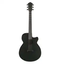 Ibanez AEG621-BOT Black Out