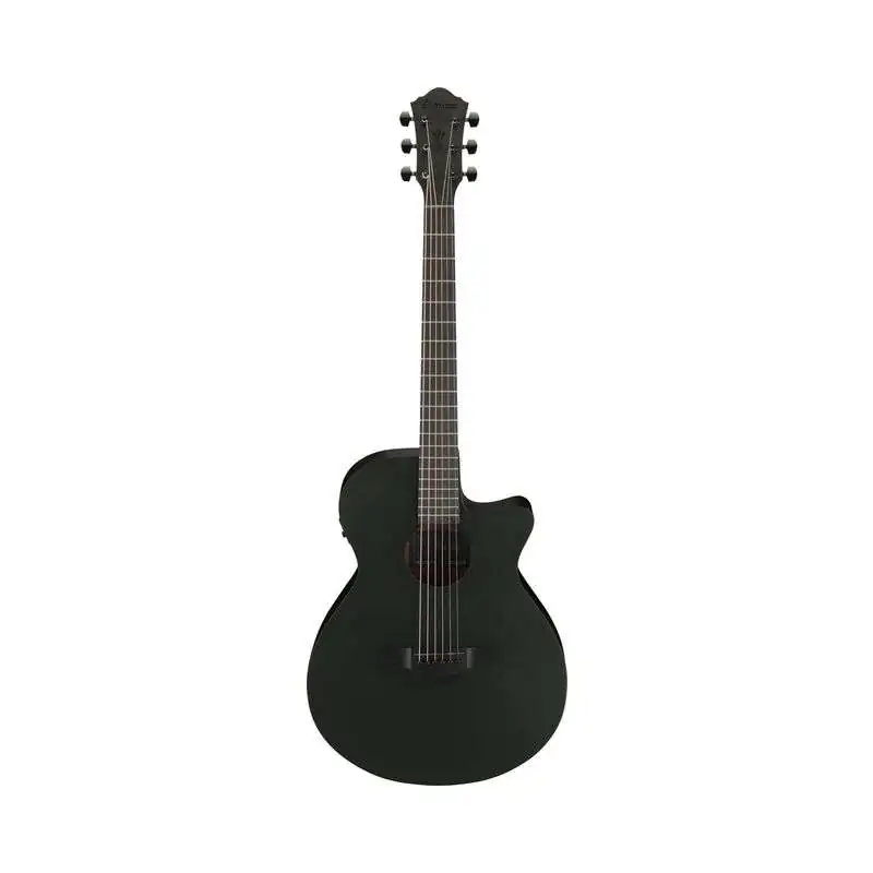 Ibanez AEG621-BOT Black Out Ibanez AEG621-BOT Black Out