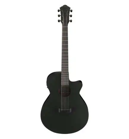 Ibanez AEG621-BOT Black Out