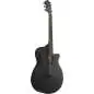 Ibanez AEG621-BOT Black Out Ibanez AEG621-BOT Black Out